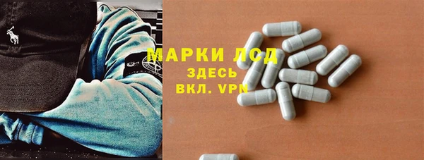 прущие грибы Верхнеуральск