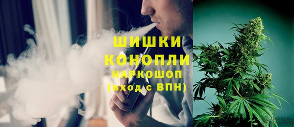 гидра Семилуки