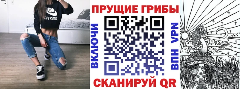 Псилоцибиновые грибы прущие грибы  даркнет сайт  Нея 